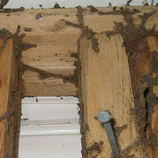 Traitement de charpente dans les Hauts-de-Seine (92)